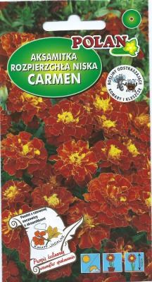 Spójnia Nasiona Aksamitka Carmen 1 g